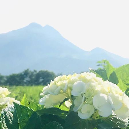Bed and Breakfast Yufuin Flora House Экстерьер фото