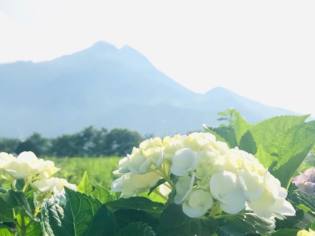 Bed and Breakfast Yufuin Flora House Экстерьер фото