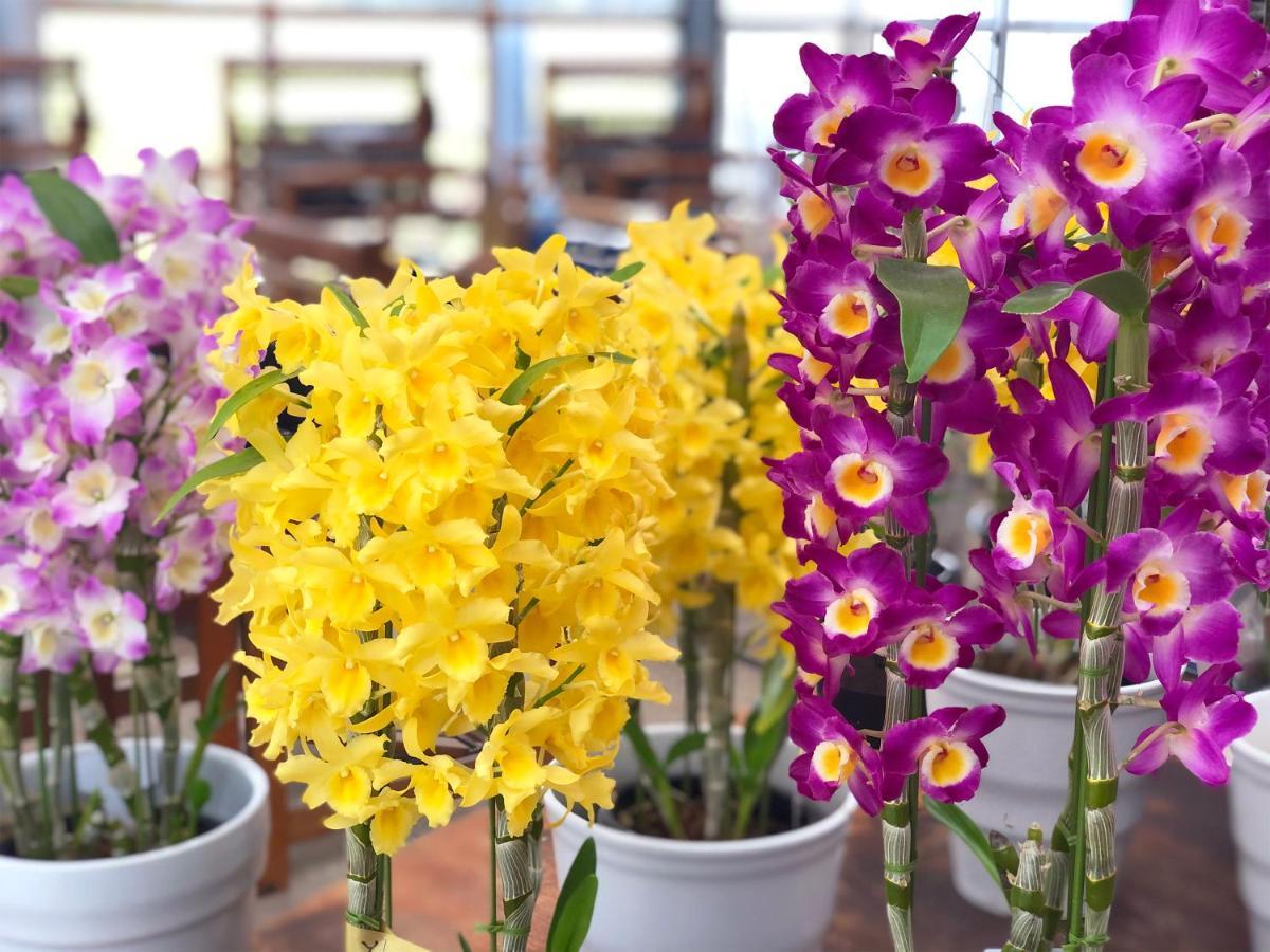 Bed and Breakfast Yufuin Flora House Экстерьер фото
